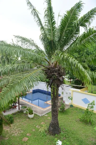 Shimmer Three-Bedroom Villa with large garden and two swimming pools – Foto 15